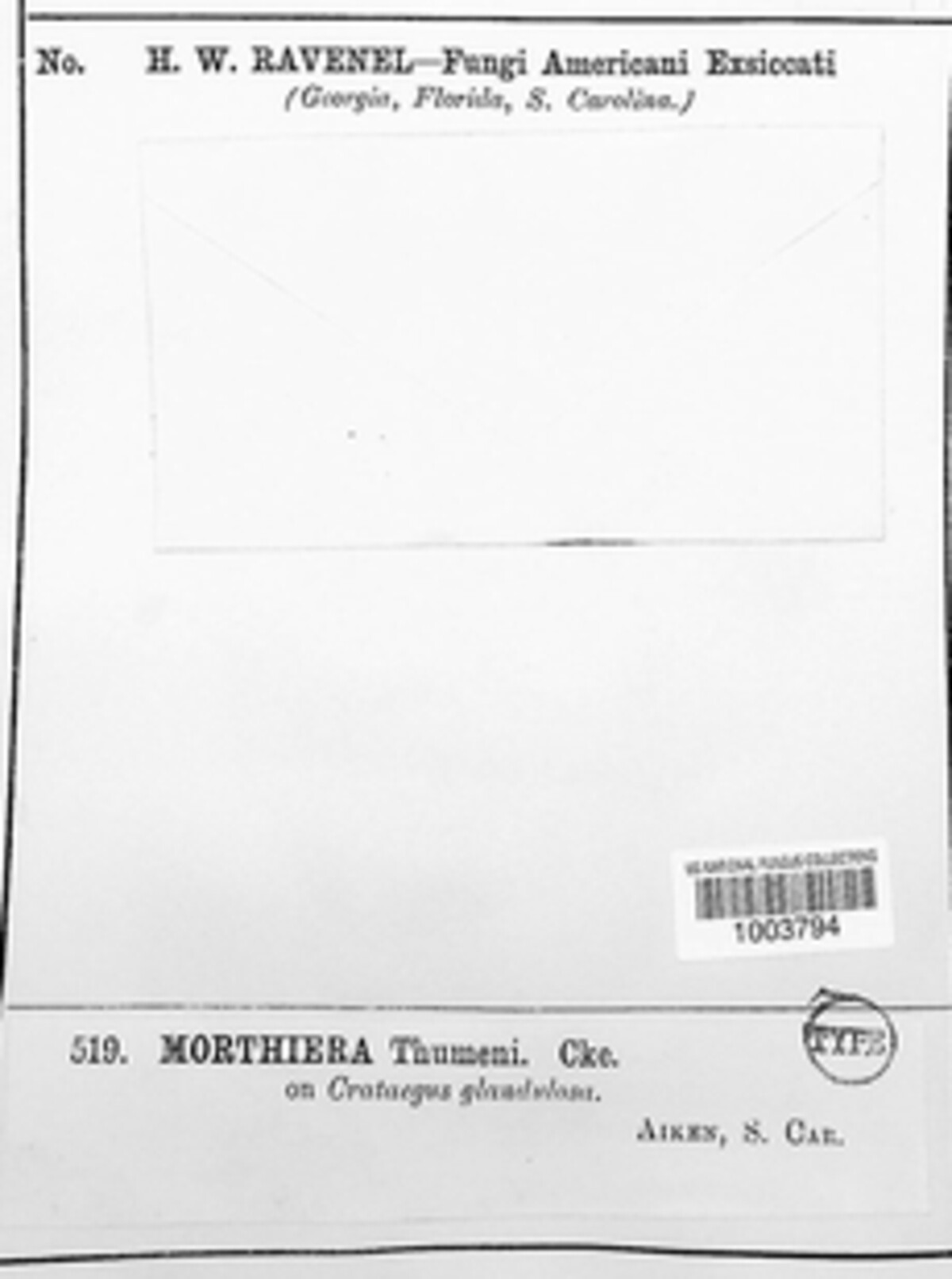 Entomosporium thuemenii image